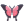Butterfly perched on C